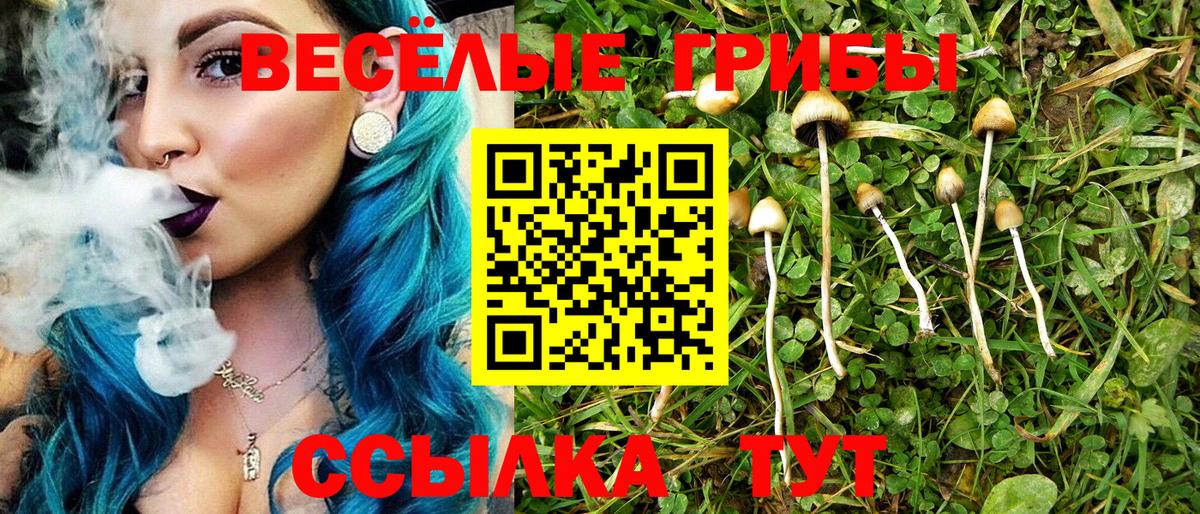 Норильск  Псилоцибиновые грибы Magic Shrooms  Псилоцибиновые грибы мухоморы  Вход с VPN 